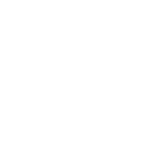 Google icon
